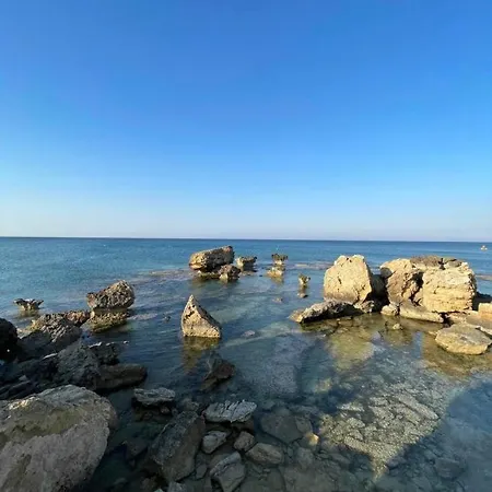 Kapparis Symphony * Paralimni